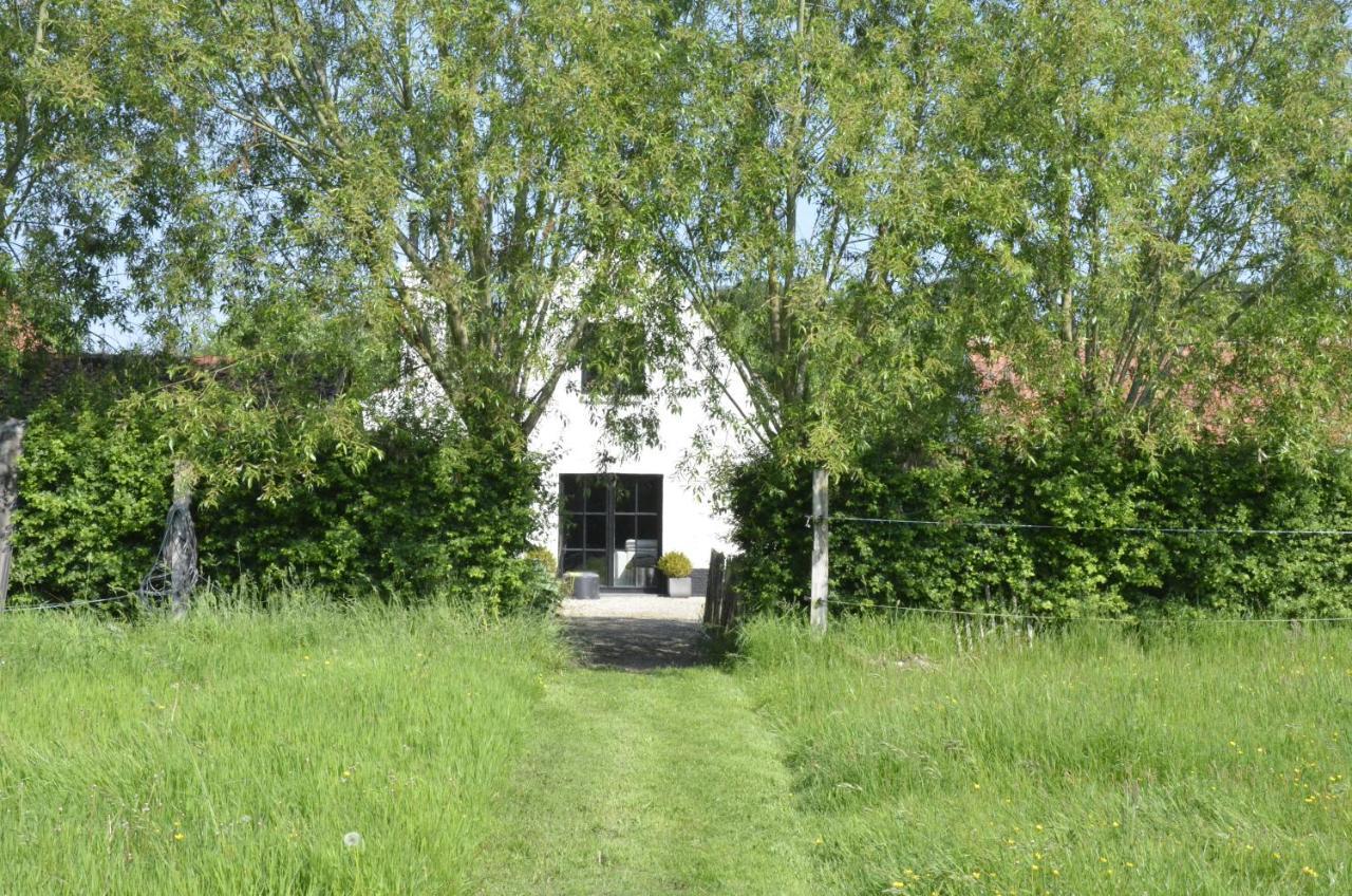 Bed & Breakfast Stee 23 3*
